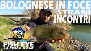 Pesca a bolognese in foce strani inconti [upl. by Yancy]