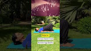 Fertility Yoga For Trying To Conceive In 2025 Fertility Exercises  Yoga Get Pregnant  trimukyoga [upl. by Colson382]