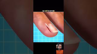 nails amazingfacts waitthefact thefactartist factsinhindi 3danimation ytshorts [upl. by Alram20]