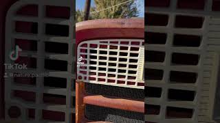 🐝 Wasps make nest in tractor grill 🐝 pestcontrol [upl. by Notnelc]