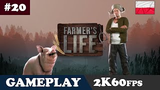 20  Zagroda dla owiec  Farmers Life  Gameplay PL [upl. by Louisa]