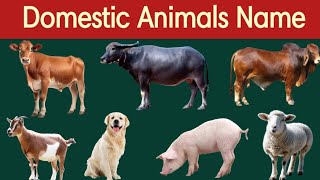 Domestic Animals Name  पालतू जानवरो के नाम  15 domestic Animals name for kids education [upl. by Annhej681]