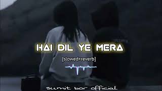 HAI DIL YE MERA  sumit bor official  slowedReverb Lofi song 💝🥀 [upl. by Nolrac295]