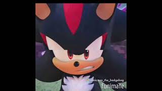 sonicandshadow two hedgehogs teaming upjudas [upl. by Ietta]