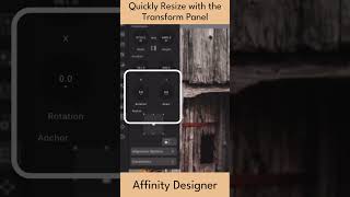 Affinity Designer Quick Tip  Quickly Size Down with the Transform Panel  Shorts  Graphic Design [upl. by Ssac158]