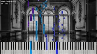 JS Bach  Organ Prelude and Fugue in G Minor BWV 535  Organ Synthesia  Library of Music [upl. by Alad919]