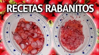 RECETAS DE RABANITOS O RÁBANOS  ENSALADAS  ERICA YT [upl. by Forsyth]