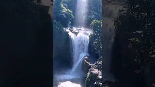 NATURAL WATERFALL Tegenungan BALI waterfall waterfalls waterfallbali [upl. by Eenobe]