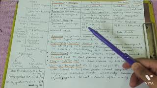 Heme Degradation amp Jaundice  1st year MBBS [upl. by Spillihp]