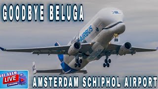 LIVE Awaiting AIRBUS BELUGA DEPARTURE from Amsterdam Schiphol Airport [upl. by Brandt]