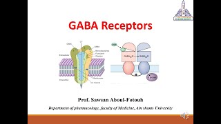 GABA receptors Types Mechanisms Drugs acting Prof Sawsan AboulFotouh [upl. by Laforge]