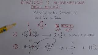 Alogenazione degli alcani [upl. by Neltiak188]