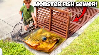 I Found MONSTER FISH In SEWER [upl. by Rim]