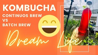 Kombucha Continuous Brew or Batch Brew [upl. by Paik218]