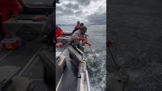 Got em halibut 100lbs sitkaalaska fishingvideo outdoors alaska fishing fishalaska bigfish [upl. by Bertine169]