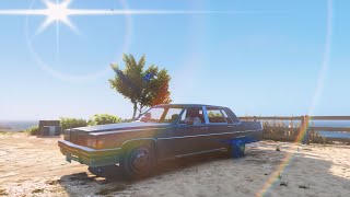 GTA 5 Next Level Graphics Realism Mod And Realistic Vegetation gameplay [upl. by Noryb]