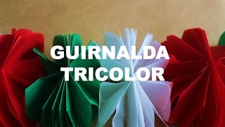 Guirnalda tricolor [upl. by Retla]