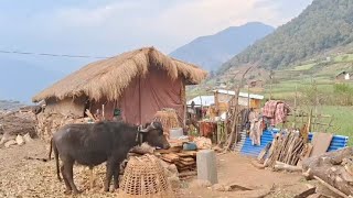 organic village life ll village life is better then city life ll developed village in Nepal ll [upl. by Grory]