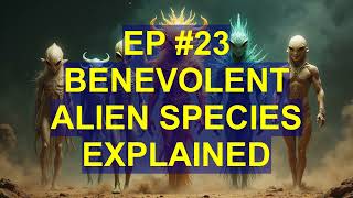 Unveiling Benevolent Aliens A Comprehensive Guide to Extraterrestrial Guardians [upl. by Starinsky]