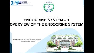 Sinh lý nội tiết 1  Tổng quan hệ nội tiết [upl. by Larimer625]