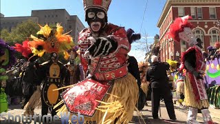 Zulu Mardi Gras Parade 2019 [upl. by Ailero]