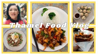 Where To Eat In Thamel  3 Restaurants 5 Dishes  Thamel Food Hunt  Vlog 63  ByRushCreations [upl. by Jael]