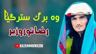 Wa Brag Stargya  Raza Noor Wazir Pashto Song 2023  New Pashto Song  HD Video  Pashto Music [upl. by Nnyladnarb728]