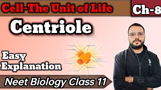 Centriole  Centrosome  Cell  The unit of life [upl. by Sadler]