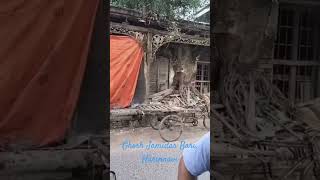 Jamidar Bari travel nature kolkata kolkatadiaries kolkatavlog vlog vlogging travelblogger [upl. by Nodle496]