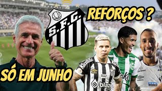 🚨 URGENTE ‼️ LUIS CASTRO SÓ EM JUNHO  REFORÇOS CHEGANDO [upl. by Noevart503]