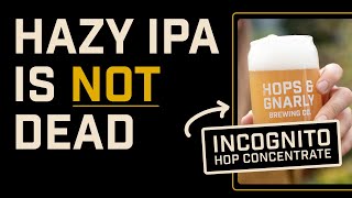 Hazy IPA with INCOGNITO Hop Concentrate  Brewtools B40  EP52 [upl. by Lau103]