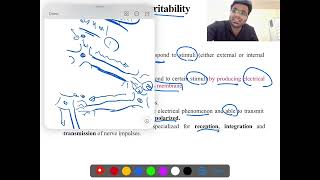 L1 Introduction to the excitable tissue طب اشور المرحلة الثانية مادة الفسلجة كورس اول [upl. by Llekram]