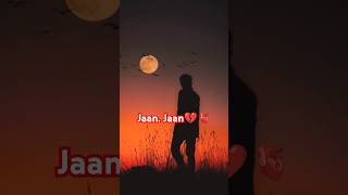 Jaan Jaan ke laga rakha hai 💔😭💘 love song trending youtubeshorts mansarytv [upl. by Faux]