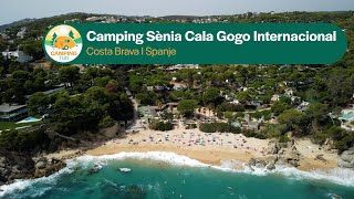 Camping Sènia Cala Gogo Internacional I Spanje I Campingtijd S2E3 [upl. by Stanwood184]