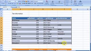 Excel Tabelle erstellen [upl. by Hawk850]