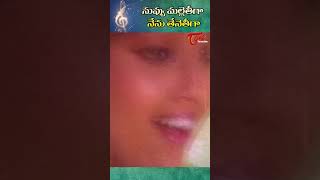 నువ్వు మల్లెతీగా నేను తేనెతీగ President Gari Pellam  Nagarjuna and Meena shorts youtubeshorts [upl. by Barbabra]