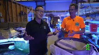 Kalkwasser Dosing  ACI Aquaculture Method Part 2 [upl. by Thomson340]