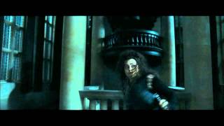 Harry Potter and the Deathly Hallows part 1  Bellatrixs reign of terror at Malfoy Manor part 1 [upl. by Khano]