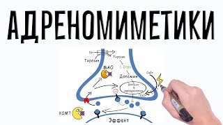 Адренергические агонисты Фармакология простым языком [upl. by Augie666]