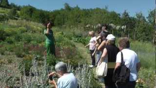 Lorto al Giardino di Pimpinella [upl. by Barbie]