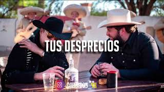 Pepe Aguilar El Fantasma  Tus Desprecios Audio Oficial [upl. by Mccollum850]