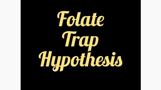 Folate trap hypothesis [upl. by Finbur]