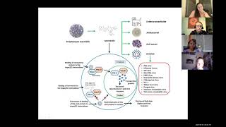 IVERMECTIN als Covid19 Therapie [upl. by Elbertine741]