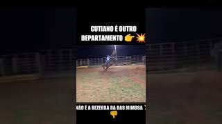 Cutiano em outro departamento 🤠🐎🤲🫵🦵👊💪🫶👋🙏🏻👏🤣🤣🤣🤣🤣🤣 [upl. by Ynahpit]