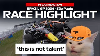 F1 Race Highlights  2024 Sao Paulo Grand Prix Cat Reaction [upl. by Orsola90]