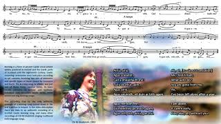 Traditional Irish Keening Song  Cití Ní Ghallchóir  Kitty Gallagher 1951  Transcriptionlyrics [upl. by Yelsna531]