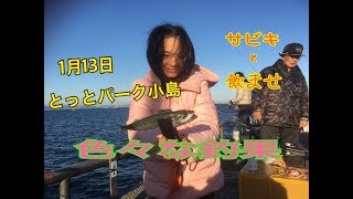 fishingmax二色浜店【とっとパーク小島】1月13日 [upl. by Lorollas404]