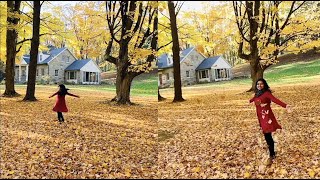 Letchworth State Park New York Fall Foliage Fall Color [upl. by Aivonas958]