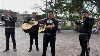 La venía bendita con cuarteto Mariachi en tlaquepaque [upl. by Reni]