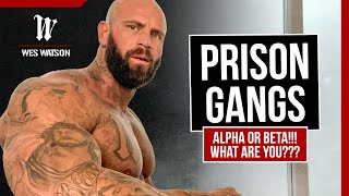 Prison Gangs Alpha or Beta What are YOU [upl. by Llehcar]